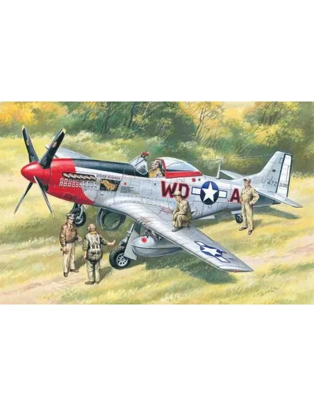 Mustang P-51D WWII American Fighter with USAAF Pilots and Ground Pe...