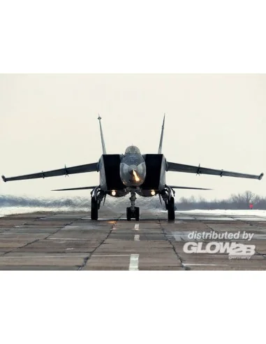 MiG-25 RB Sovit Reconnaissance Plane, 1/48 - ICM 48902