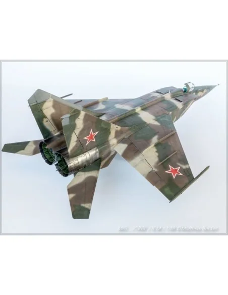 [NO_DESC] MiG-25 RBF, Soviet Reconnaissance Plane, 1/48 - ICM 48904