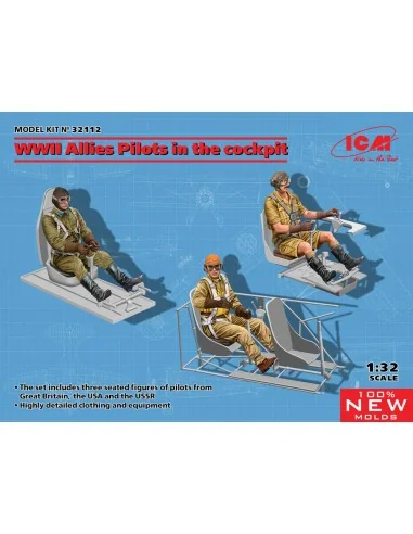 WWII Allies Pilots in the cockpit (British, Amarican, Soviet)(100%n...