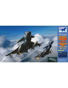 Chinese J-10A Fighte, 1/48 - Bronco Models FB4004