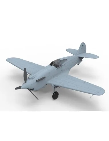 Curtiss Hawk 81-A2'AVG'(Special Edition, 1/48 - Bronco Models FB4009