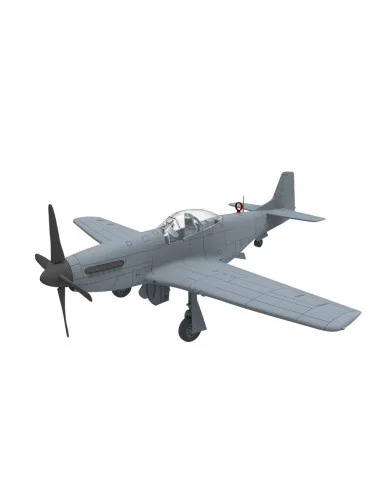 PLA P-51D/K Mustang (1949 Parade), 1/48 - Bronco Models FB4010