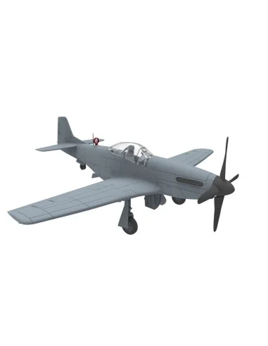 PLA P-51D/K Mustang (1949 Parade), 1/48 - Bronco Models FB4010