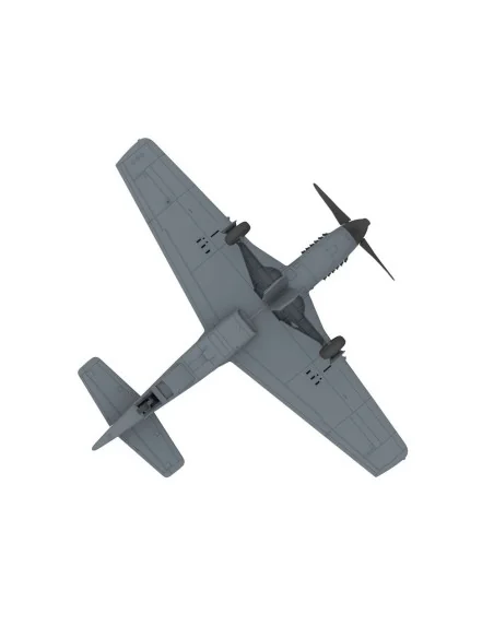 PLA P-51D/K Mustang (1949 Parade), 1/48 - Bronco Models FB4010