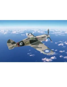 Flying Tiger (A.V.G) P-40C Tomahawk, 1/48 - Bronco Models 48BK004