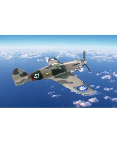 Flying Tiger (A.V.G) P-40C Tomahawk, 1/48 - Bronco Models 48BK004