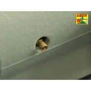 Pz.Kpfw. V Ausf.G (i.Kfz.171) Panther - Aber Models 35 K04T