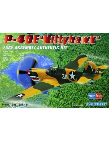 P-40E ''Kitty hawk'', 1/72 - Hobby Boss 80250