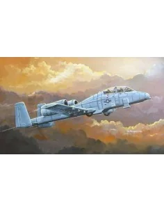 N/AW A-10A THUNDERBOLT II, 1/72 - Hobby Boss 80267