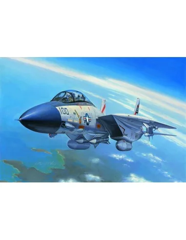 [NO_DESC] F-14A Tomcat, 1/72 - Hobby Boss 80276
