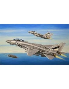 [NO_DESC] F-14D Super Tomcat, 1/72 - Hobby Boss 80278