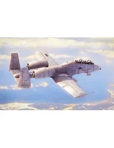 N/AW A-10A Thunderbolt II, 1/48 - Hobby Boss 80324
