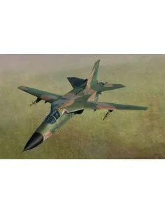 [NO_DESC] F-111D/E Aardvark, 1/48 - Hobby Boss 80350