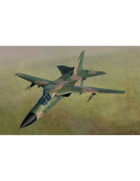 [NO_DESC] F-111D/E Aardvark, 1/48 - Hobby Boss 80350