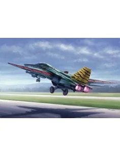 FB-111 Aardvark, 1/48 - Hobby Boss 80351