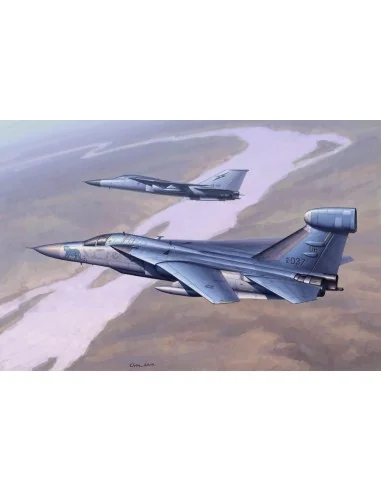 EF-111 Raven, 1/48 - Hobby Boss 80352