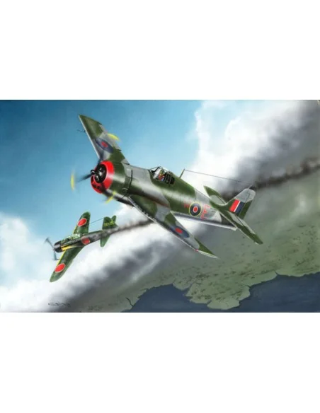 British Fleet Air Arm Hellcat Mk.I, 1/48 - Hobby Boss 80360