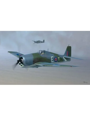 British Fleet Air Arm Hellcat Mk.II, 1/48 - Hobby Boss 80361