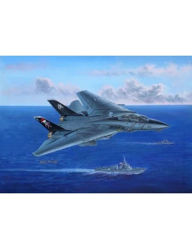 F-14B Tomcat, 1/48 - Hobby Boss 80367
