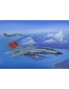 F-14D Super Tomcat, 1/48 - Hobby Boss 80368