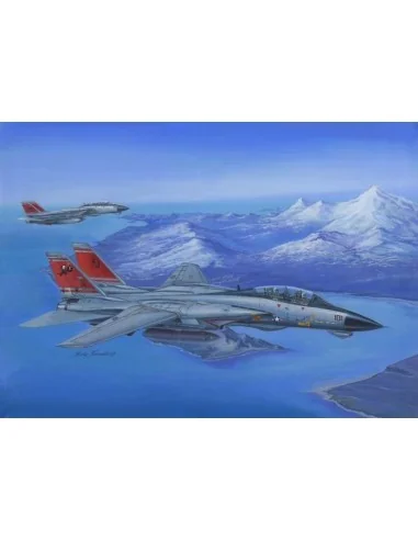 F-14D Super Tomcat, 1/48 - Hobby Boss 80368