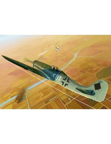 Focke-Wulf FW 190D-11, 1/48 - Hobby Boss 81718