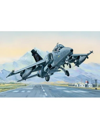[NO_DESC] AMX Ground Attack Aircraft, 1/48 - Hobby Boss 81741