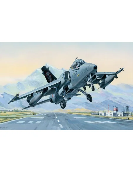 AMX Ground Attack Aircraft, 1/48 - Hobby Boss 81741