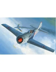 Soviet La-11 Fang, 1/48 - Hobby Boss 81760