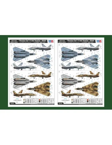 [NO_DESC] Persian Cat F-14A TomCat-IRIAF, 1/48 - Hobby Boss 81771