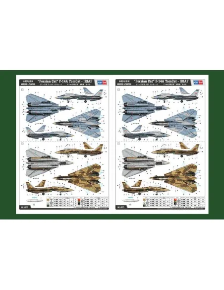 Persian Cat F-14A TomCat-IRIAF, 1/48 - Hobby Boss 81771