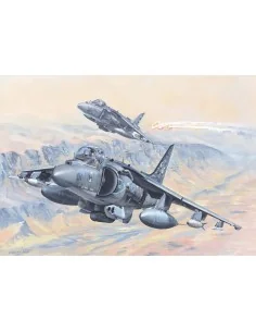 AV-8B Harrier II, 1/18 - Hobby Boss 81804