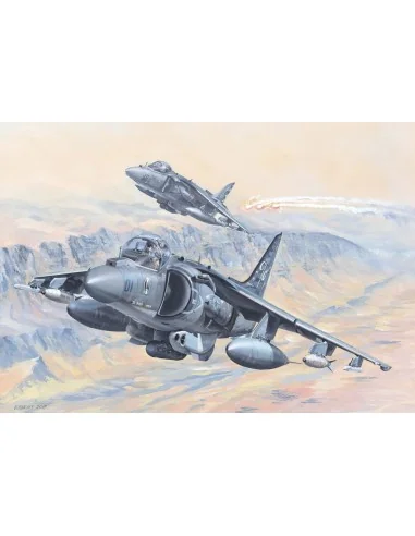 AV-8B Harrier II, 1/18 - Hobby Boss 81804