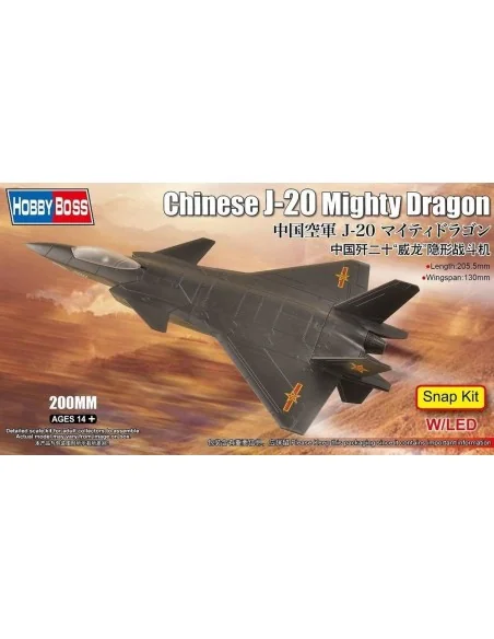 Chinese J-20 Mighty Dragon - Hobby Boss 81902