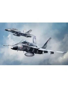 F/A-18A/D AGRESSOR, 1/48 - KINETIC K48088 2