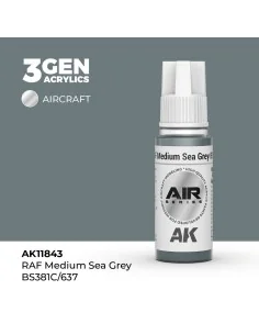 RAF Medium Sea Grey BS381C/637 - AK Interactive AK11843