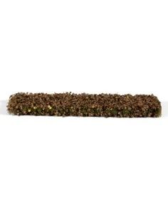 CHESTNUT FOLIAGE LATE FALL - AK Interactive AK8235 2