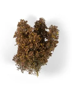 LATE FALL FILIGREE BUSHES - AK Interactive AK8239 2