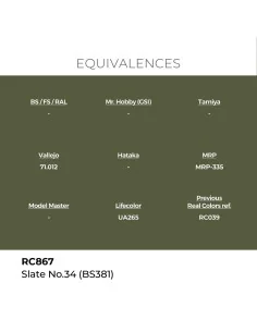 Real Colors: Slate No.34 (BS381) 17 ml. - AK Interactive RC867 2