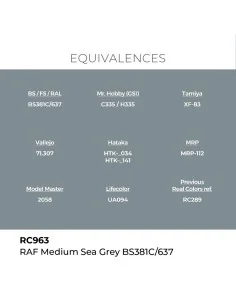 Real Colors: RAF Medium Sea Grey BS381C/637 17 ml. - AK Interactive... 2