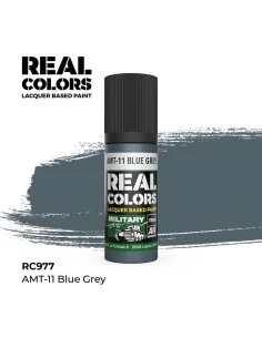 Real Colors: AMT-11 Blue Grey 17 ml. - AK Interactive RC977