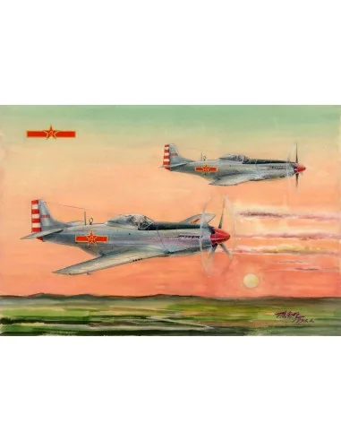 PLAAF P-51D/K Mustang Fighter, 1/48 - Hobby Boss 85807