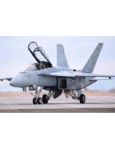 [NO_DESC] F/A-18F Super Hornet, 1/48 - Hobby Boss 85813