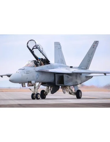 F/A-18F Super Hornet, 1/48 - Hobby Boss 85813