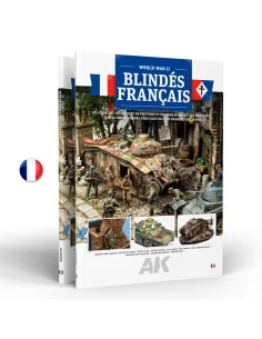 FRENCH ARMOR (FR) - AK Interactive AK130028