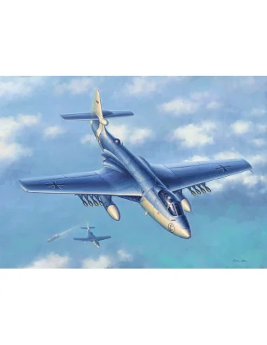 [NO_DESC] Seahawk MK.100/101, 1/72 - Hobby Boss 87252