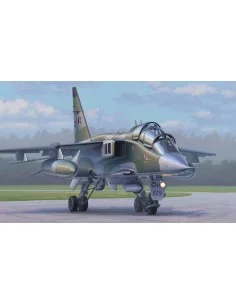French Jaguar E, 1/72 - Hobby Boss 87259
