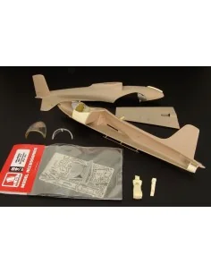 BAC 167 Strikemaster (FLY), 1/48 - Brengun BRL48056