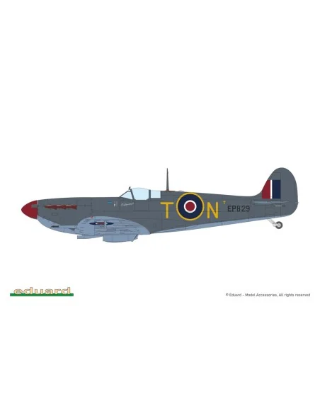 SPITFIRE STORY: The Sweeps DUAL COMBO, 1/72 - Eduard Plastic Kits 2154